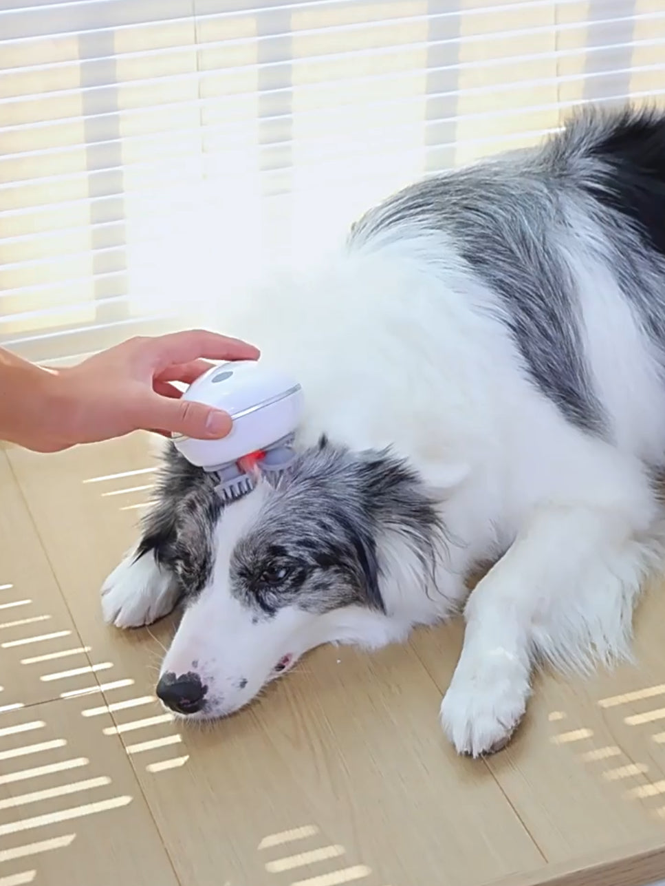 Smart Pet Massage Device - Relax & Care for Your Best Friend.