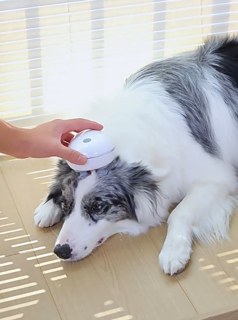 Smart Pet Massage Device - Relax & Care for Your Best Friend.