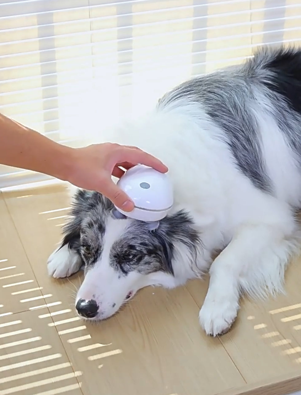 Smart Pet Massage Device - Relax & Care for Your Best Friend.